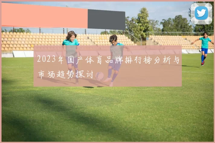 2023年国产体育品牌排行榜分析与市场趋势探讨