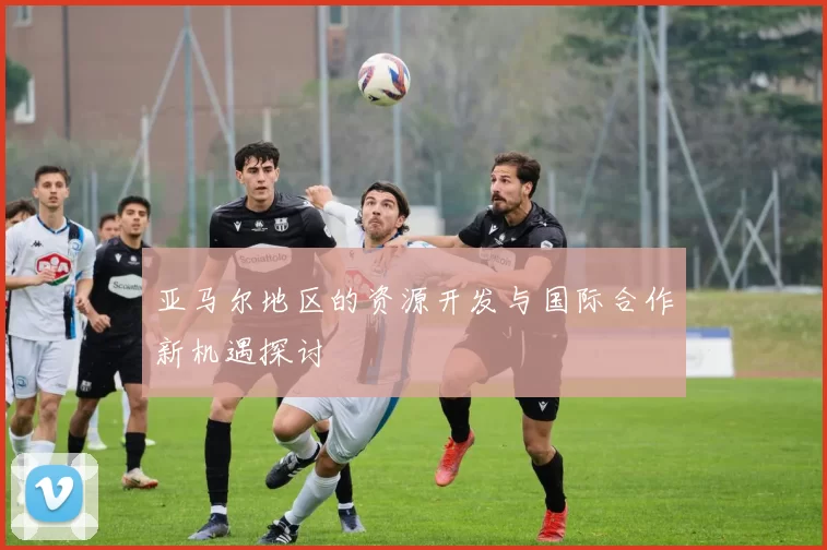 亚马尔地区的资源开发与国际合作新机遇探讨